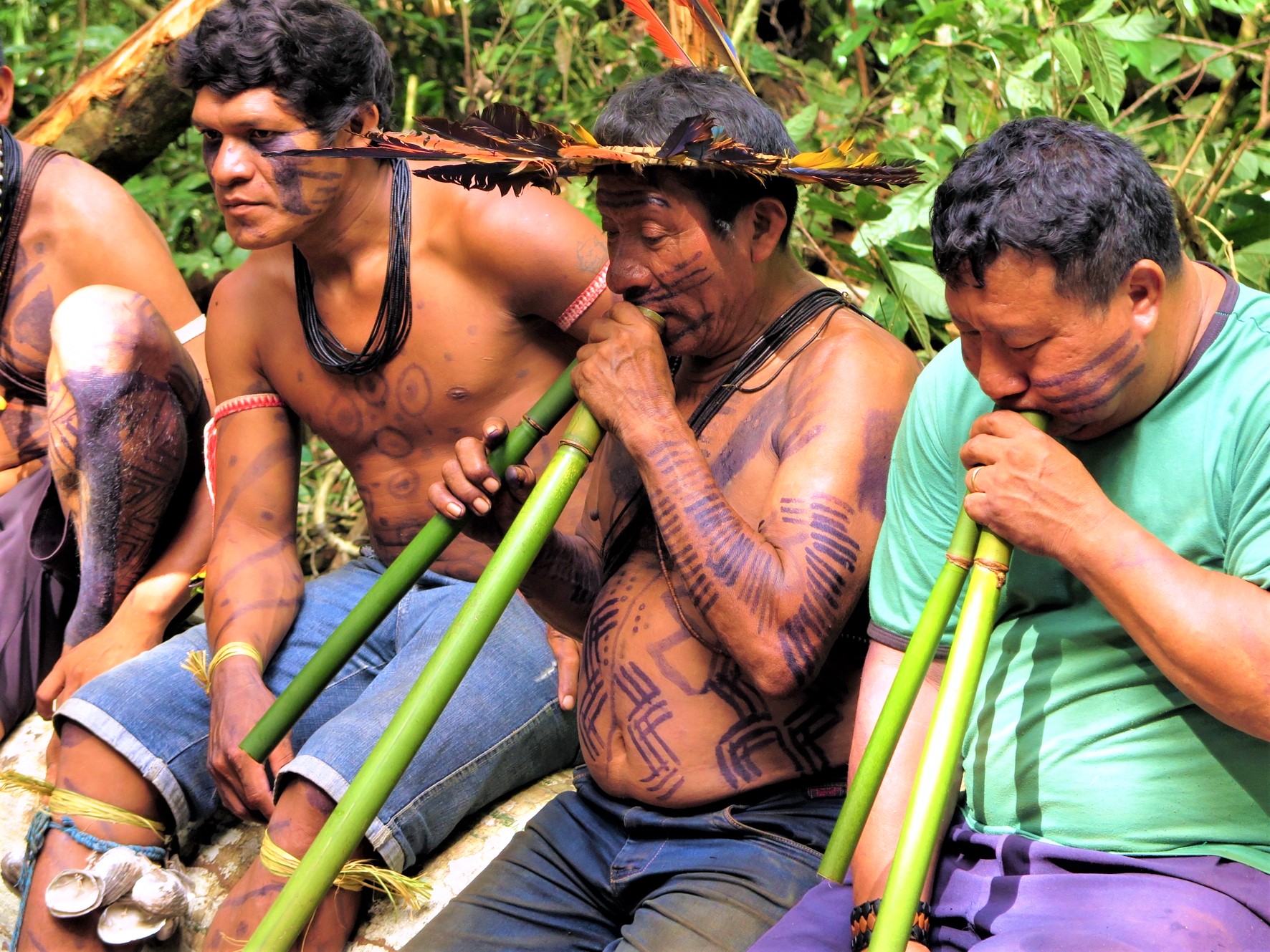 Operação Amazônia Nativa Em decisão histórica STF reconhece direito