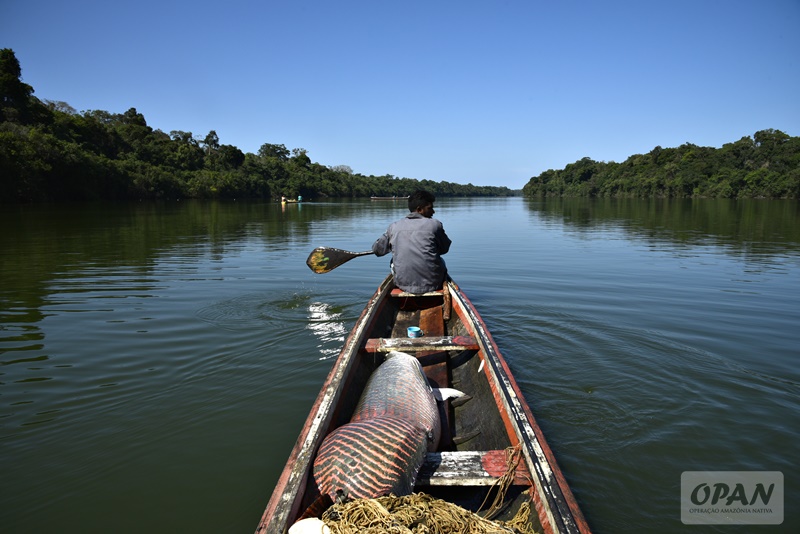 Operação Amazônia Nativa Arapaima